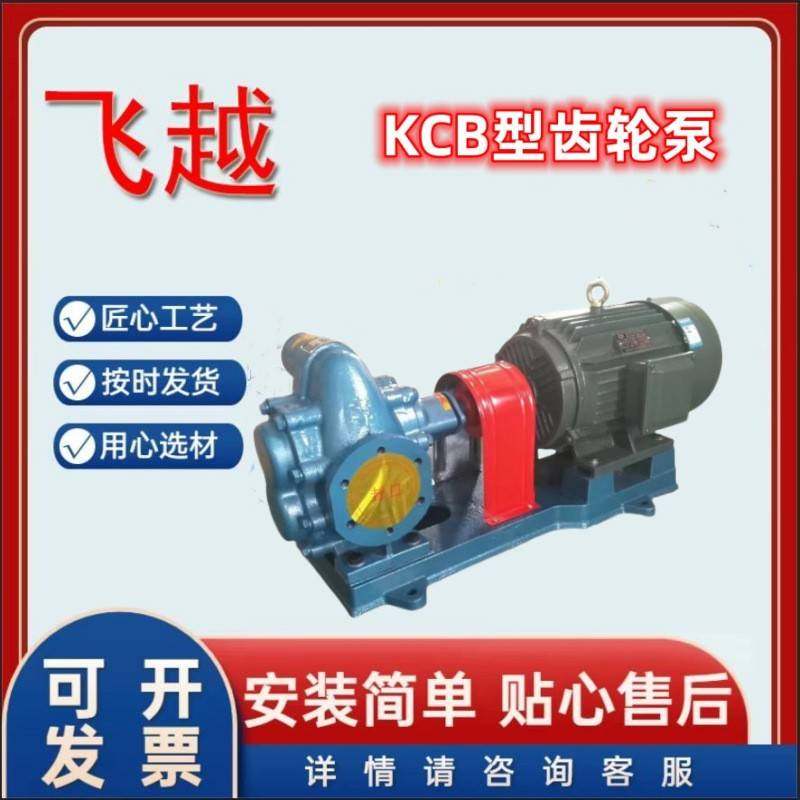 齿轮回油泵电动卧式齿轮泵口径3寸流量18方kcb-300型铸铁柴油,五金/工具,其它泵类型,淘宝优惠券,粉丝福利购,淘宝优惠卷