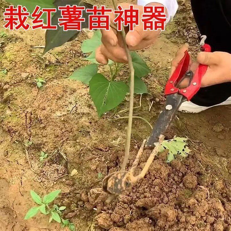 栽红薯苗神器插秧k栽苗器农用工具移栽器栽地瓜种烟薯紫薯辣椒机