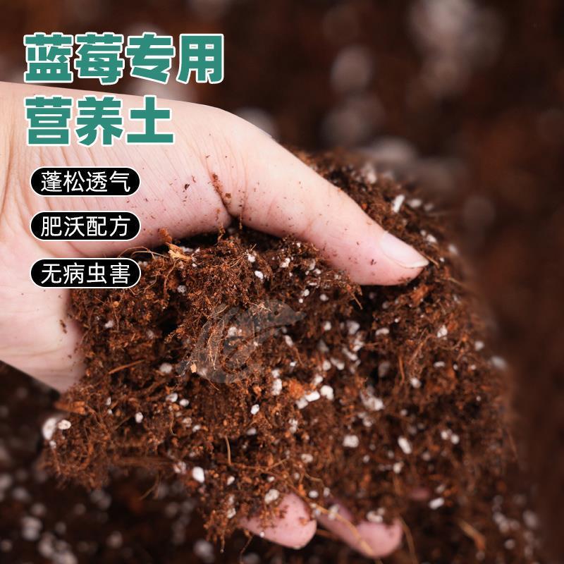 蓝莓专用土蓝莓盆栽地栽营养土弱酸性疏松透气土壤有机种植土肥料