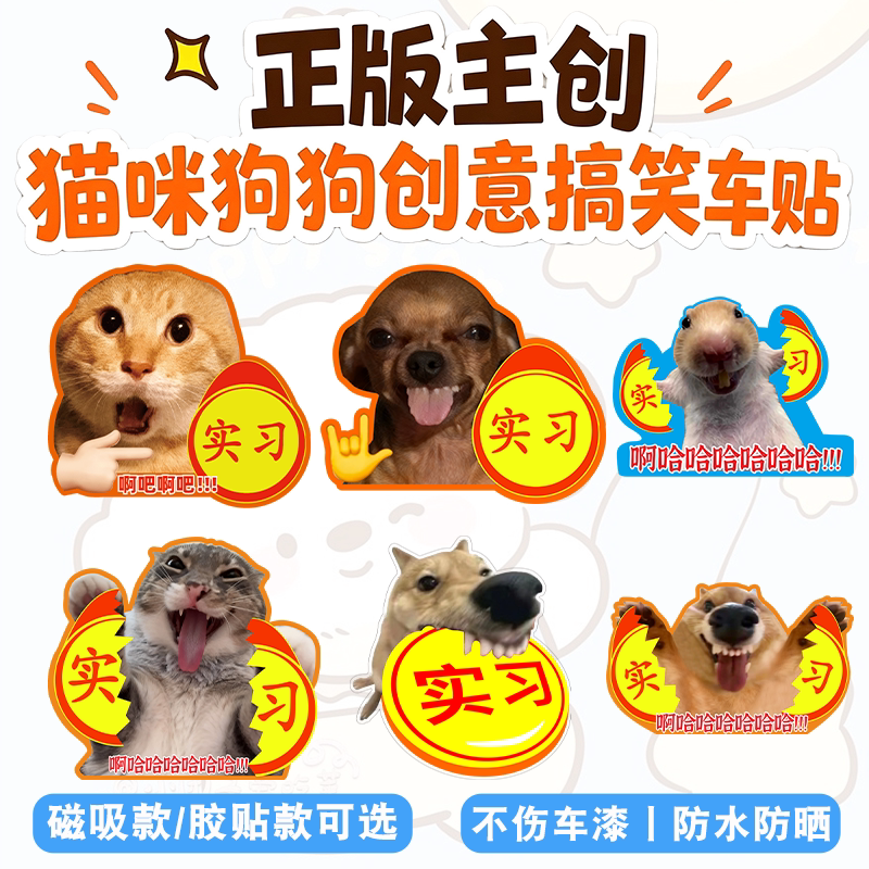 哈基米实习车贴搞笑创意文字新手司机实习期反光磁贴汽车装饰贴纸
