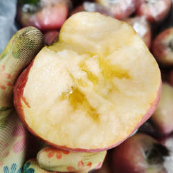 山西运城正宗临猗冰糖心丑苹果脆甜红富士新鲜水果农家自种箱装孕