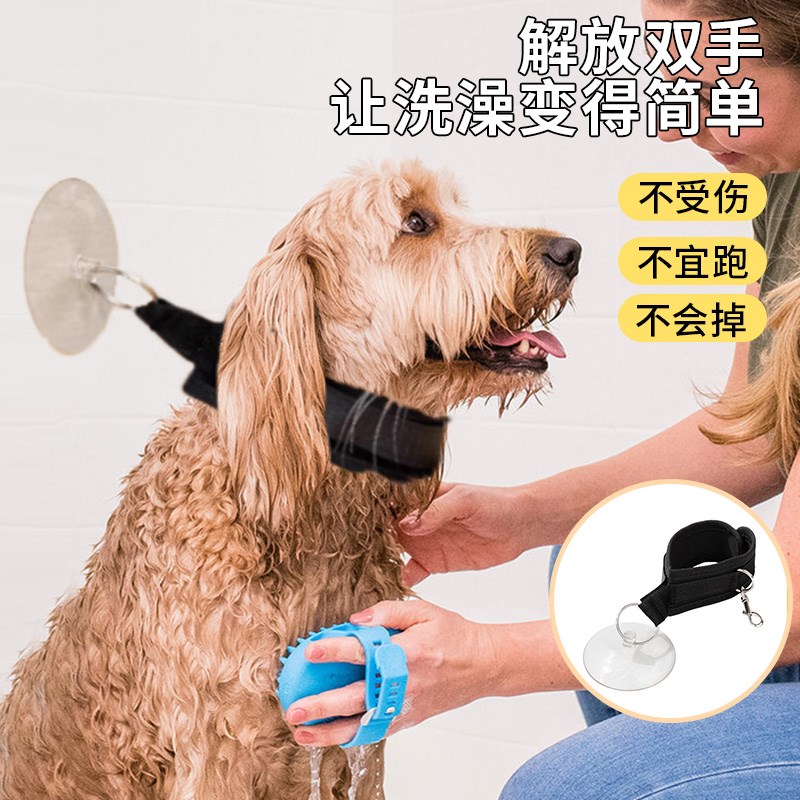 宠物洗澡固定器剃毛拴狗绑狗绳美容桌吊绳猫咪洗澡神器牵引绳吸盘图片