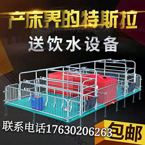 母猪产床全复合产保一体床热镀锌双体产床保育床分娩床定位栏直销