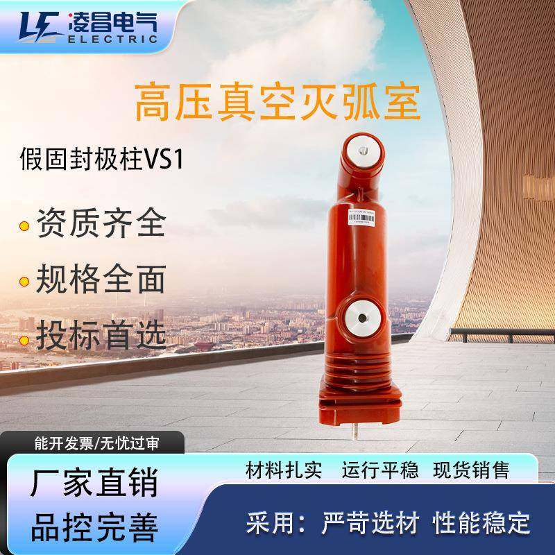 TD12真空灭弧室630A高压10KV断路器ZW32充气柜VS1极柱ZW20定 制ZW