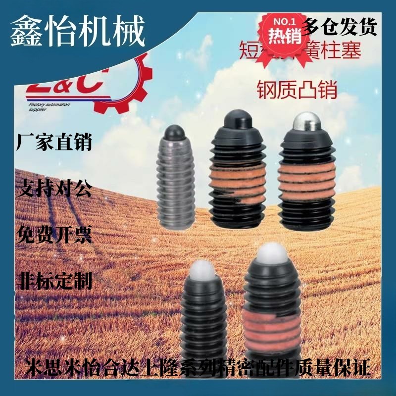 ZAP63-M4 弹簧柱塞短型弹顶销 定位销ZAP64-HM4/M5/M6/M8/M10M/12