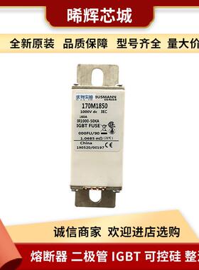 170M1850 170M3191 电子元器件 库存充足 巴斯曼直流快速熔断器