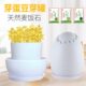 家用豆芽机麦饭石豆芽罐塑料发黄豆绿豆芽菜种植桶豆芽菜种植盆