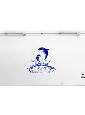 澳柯玛-36度商用低温冰柜 BC/BD-535 430HDNE