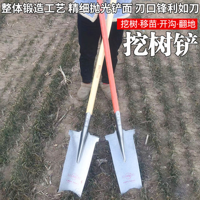 挖树铲子锰钢挖树锹加厚移苗器户外挖土挖沟铁锹S断树根工具洛阳