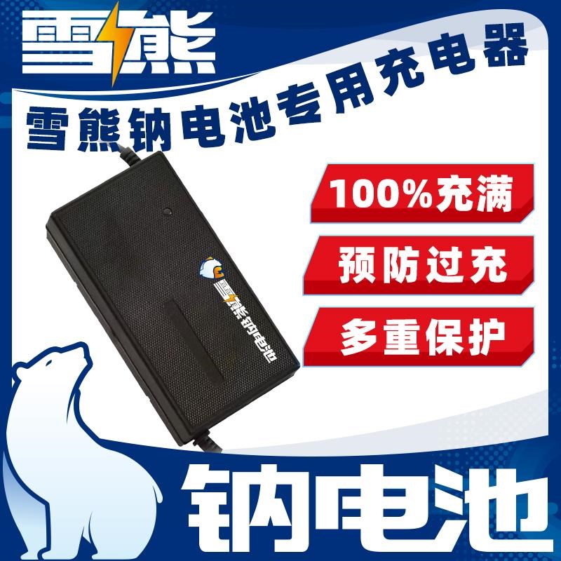 雪雄钠离子电池充电器l电动车充电器12v24v36v48v60v72v各种容量