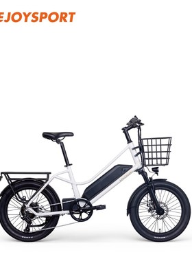 Ejoysport Yiqi Sports Mp MAini 1电动助力自行车350瓦后轮毂电