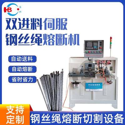 厂家直供多种熔断机定制双进料全自动伺服熔断机加工设备