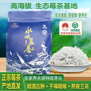 永顺莓茶官方旗舰店张家界特级野生芽尖养生藤茶湘西美丽土家特产