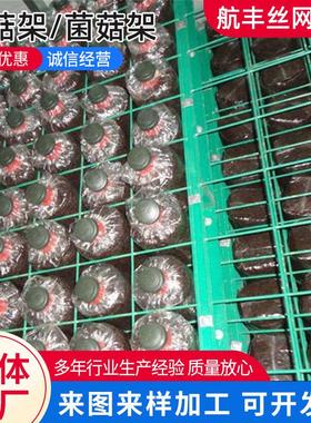 家用蘑菇架发菌房培菌食用菌出菇架绿色网格网架大棚养殖蘑菇架