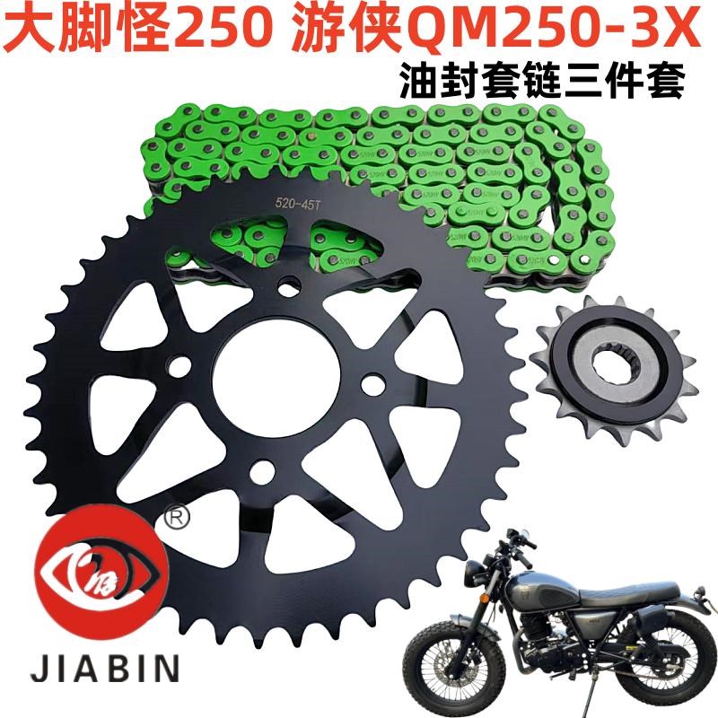适用轻骑大脚怪250n 游侠QM250-3X链条链轮套链牙盘静音油封链条