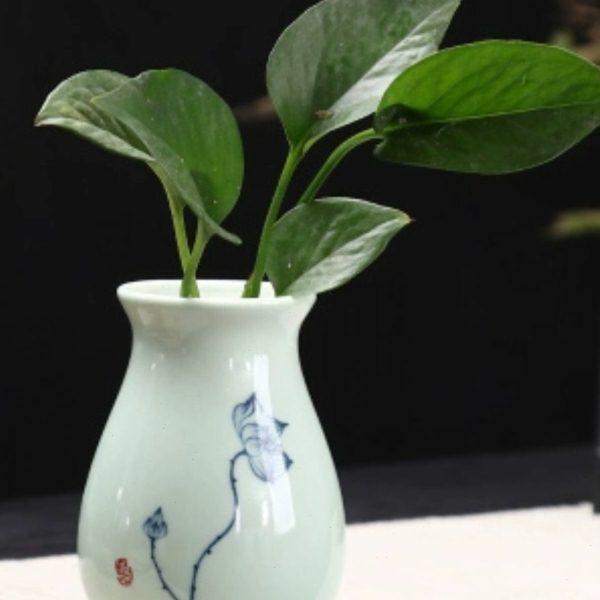 白瓷绿萝水培花盆器皿花瓶绿萝桌面插花陶瓷花盆水养植物花器摆件,家居饰品,花瓶,淘宝优惠券,粉丝福利购,淘宝优惠卷