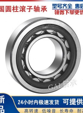 德国GAL轴承 NU NJ1006 1007 1008 1009 1010 E.M1/E.TVP2/C3