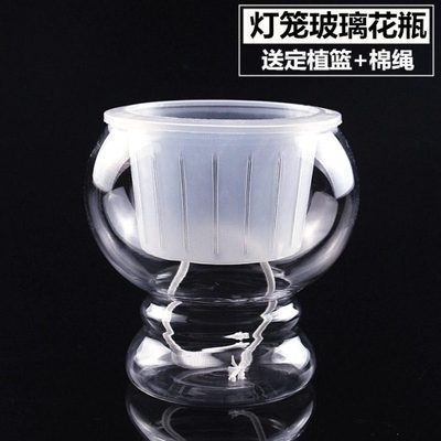 水培植物玻璃花瓶花盆水培容器自动吸水水养器皿灯笼玻璃瓶绿萝盆