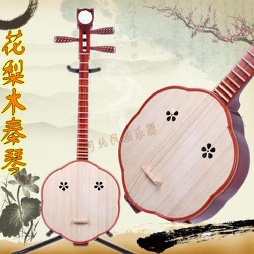 红木秦琴 民族乐器秦琴乐器 花梨木秦琴 红木三弦秦琴弹专业演奏