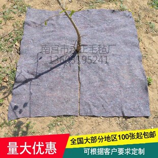 除草布果树园防草布保湿布黑棉毡吸水保湿地毯抑草地膜柑橘无纺布