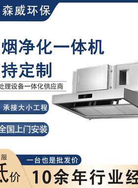 厂家定制油烟净化一体机静电式烟罩一体机厨房饭店餐厅油烟净化器