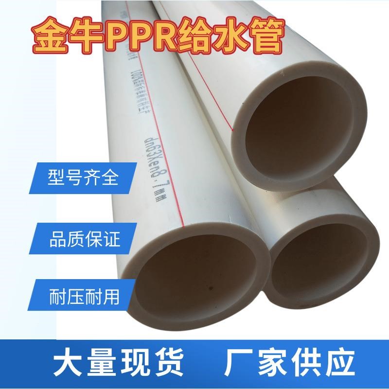 PPR63工程水h管110ppr给水管家装工程自来水管ppr管ppr热熔管