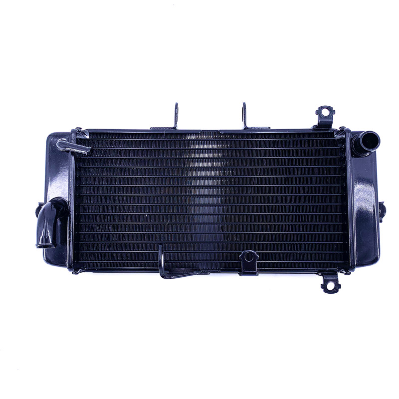 适用跑车GW250S/F水箱rDL250散热器GSX250R-A冷水器丽驰风扇节温