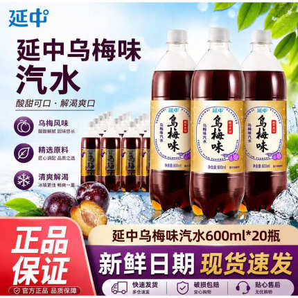 延中乌梅味汽水600ml*20瓶整箱老上海风味汽水饮料防暑劳防批发