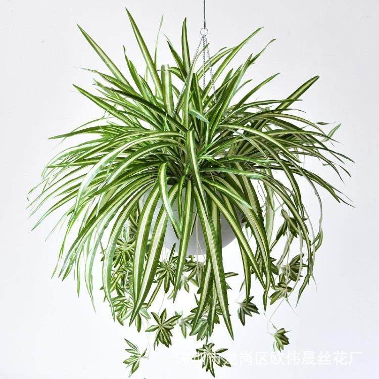仿真5叉金边布吊兰植物墙配材把束仿真假花装饰摆件仿真花