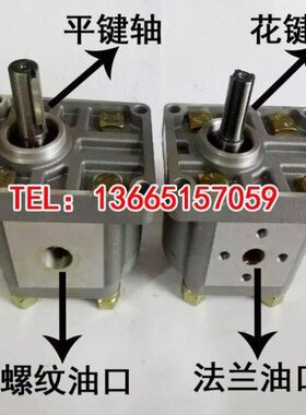 齿轮泵CBT-F304 CBT-F306 CBT-F310 CBT-F314 CBT-F316 CBT-F320