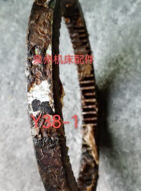 机床配件 Y38-31207内齿圈M3 Z73 L24
