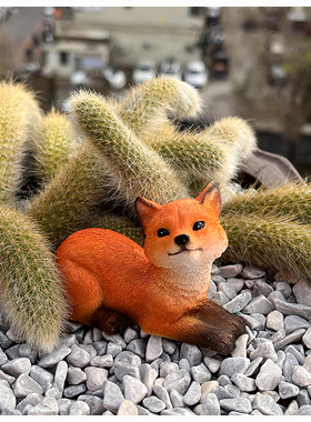 九尾狐狸多肉花盆景m装饰摆件户外微景观猴尾柱造景白色小狐狸尾