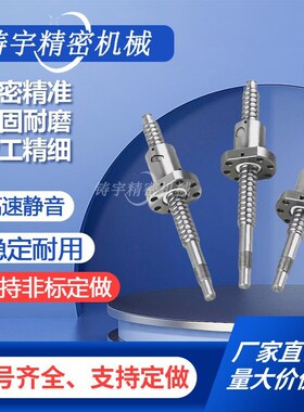 滚珠丝杆丝杠怡合LCF LCE LCG LCW zLCY LCA 49 47 46 56 57-F-P