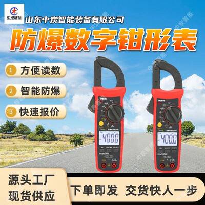 防爆数字钳形表 过流报警提示 测量精度高 WB06防爆数字钳形表