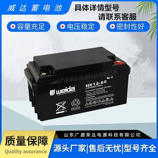 weida威达蓄电池HX12V100 7 17 24 38 40 65 120AH机房直流屏专用