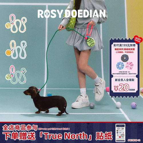 ROSYDOEDIAN遛狗外出牵引绳套装