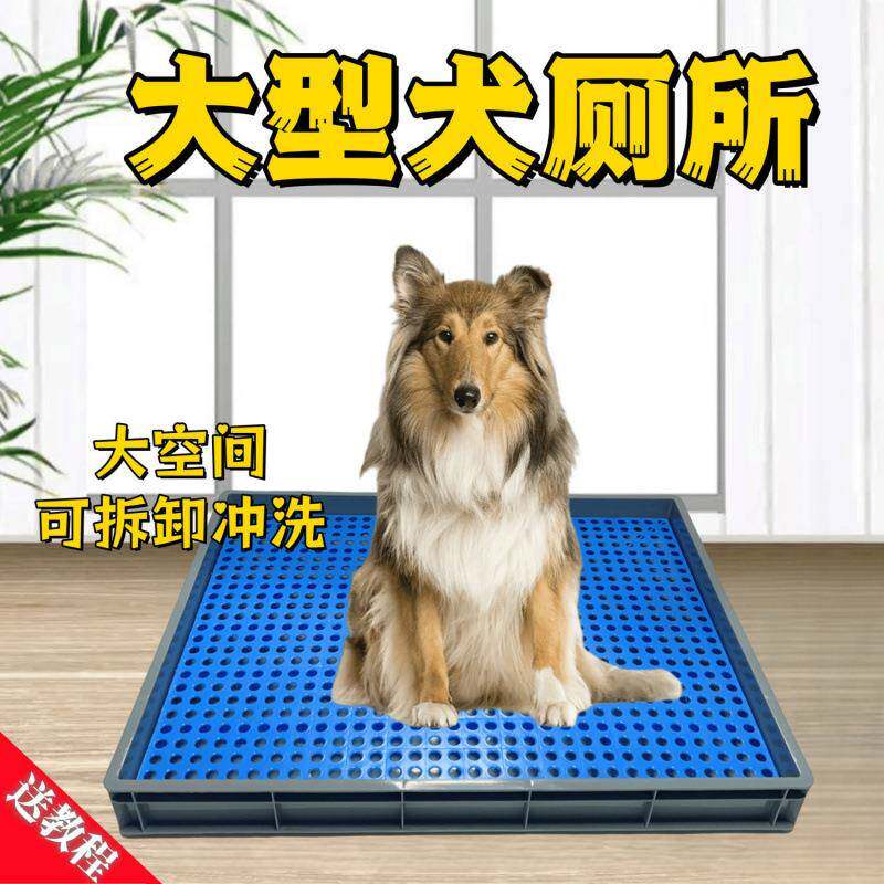 宠物厕所狗大型犬粪尿盆中小型犬定点排便器大型狗超大号一件