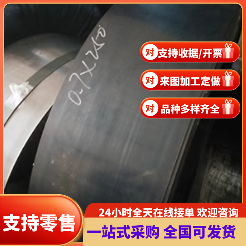 56Si7 弹簧钢 125Cr2 102Cr6 51Crv4 钢棒 80CrV2 G15270 耐高温