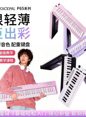 VOICEPAL声派 P65折叠电子琴力度键成人专业入门家用61键电钢琴