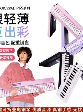VOICEPAL声派 P65折叠电子琴力度键成人专业入门家用61键电钢琴