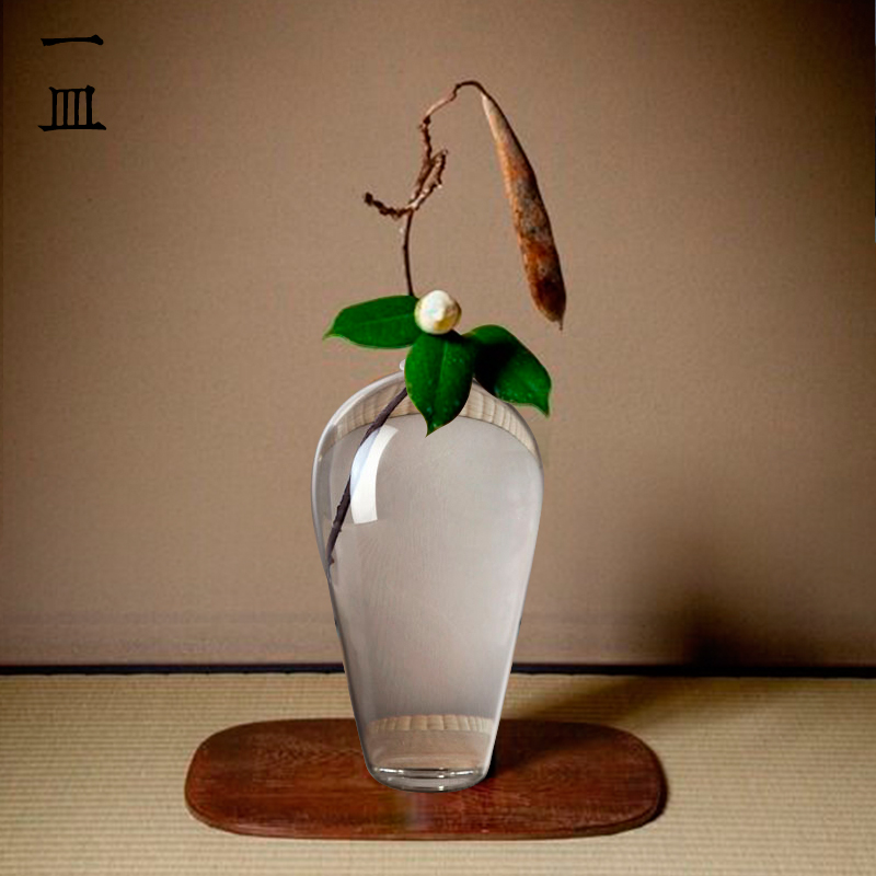 禅意玻璃花d瓶透明花器中式简约水养复古日式插花器皿创意摆件梅