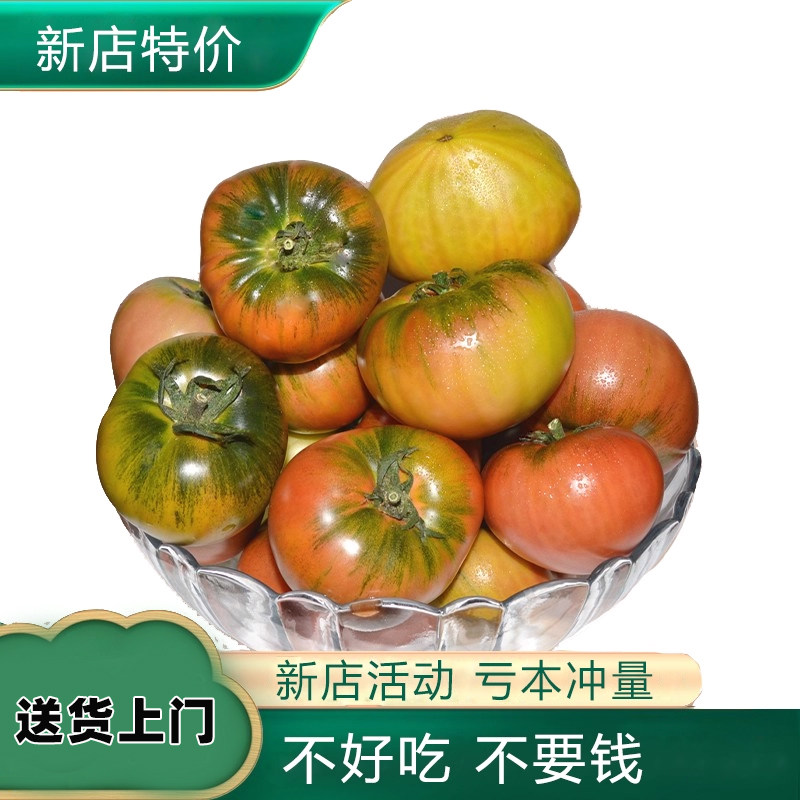 铁皮西红柿 碱地柿子 草莓番茄 大连草莓柿子 孕妇水果