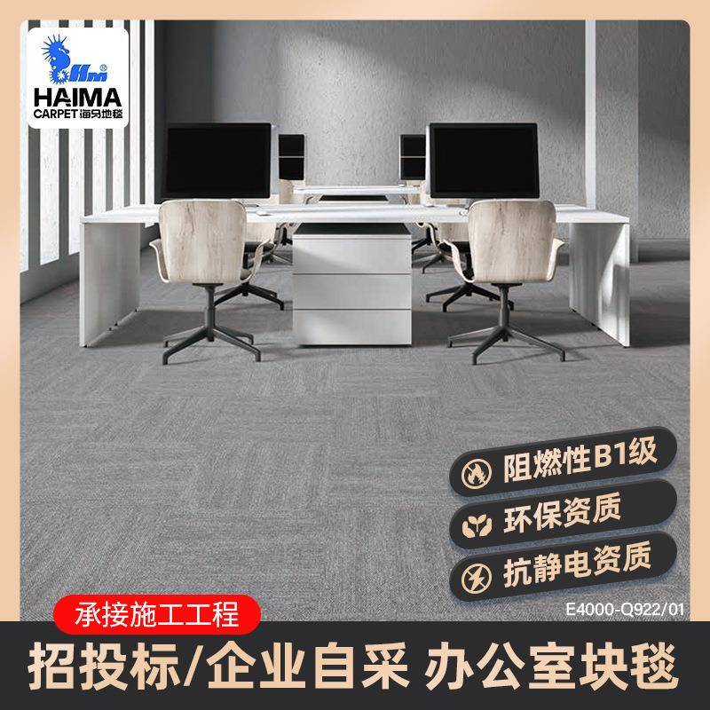 海马办公室地毯B1阻燃尼龙块毯防火防静电商务办公商用地毯图片