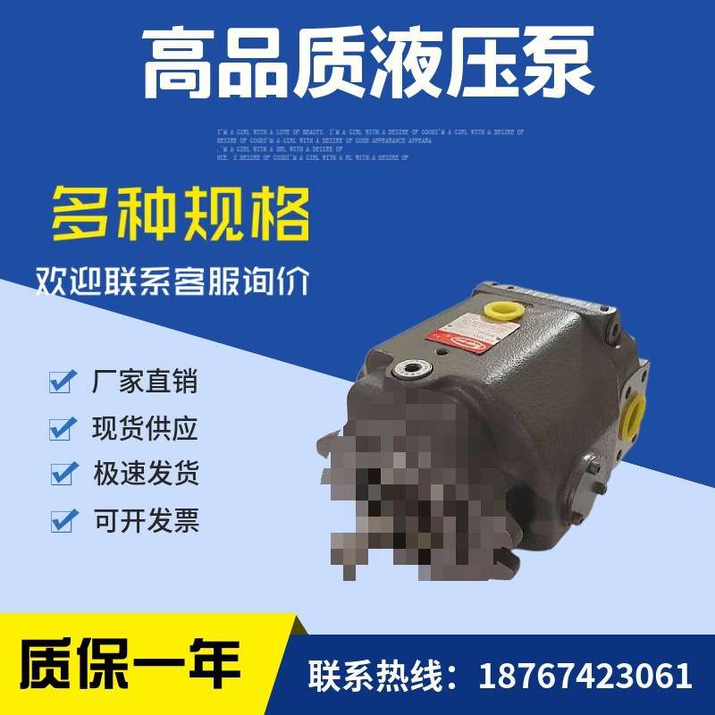 油泵HPP-VD2V-F31A3-A HPP-VD2V-F31A3-B丰兴工业TOYOOKI柱塞泵