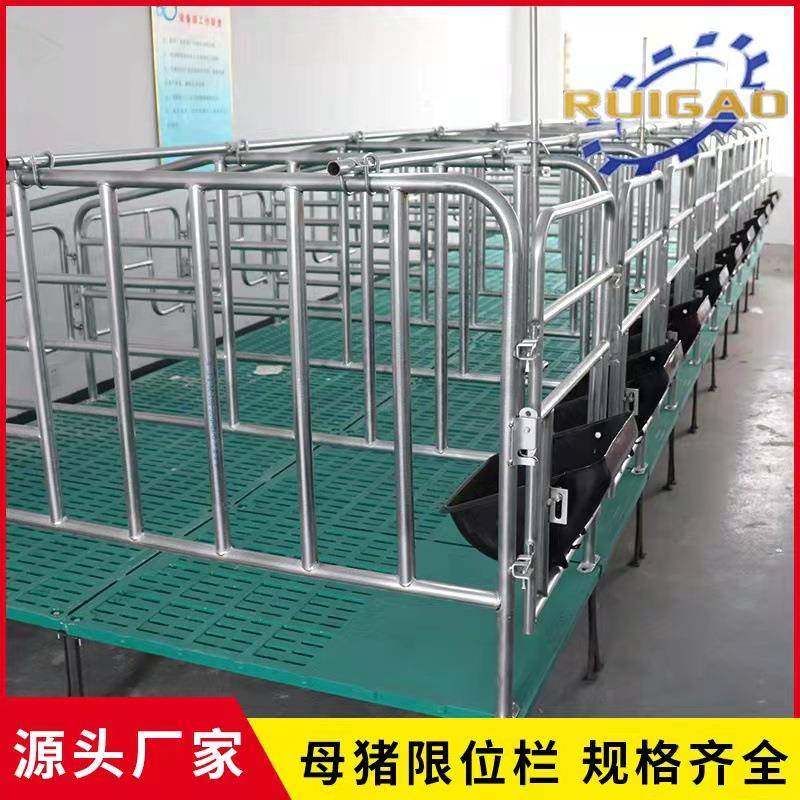 母猪限位栏定位栏猪用落地式加厚养猪设备镀锌管带复合板产床厂家