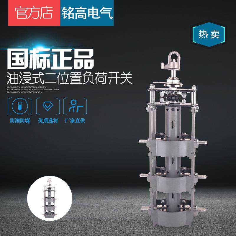 35KV油浸式二工位负荷开关美变二位置开关FYN33-35KV/630A断路器