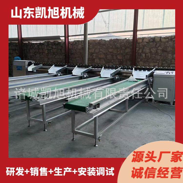 山竹牛油果克重分选机柠檬选果机水果重量筛选机西红柿分拣机,五金/工具,其他包装设备,淘宝优惠券,粉丝福利购,淘宝优惠卷