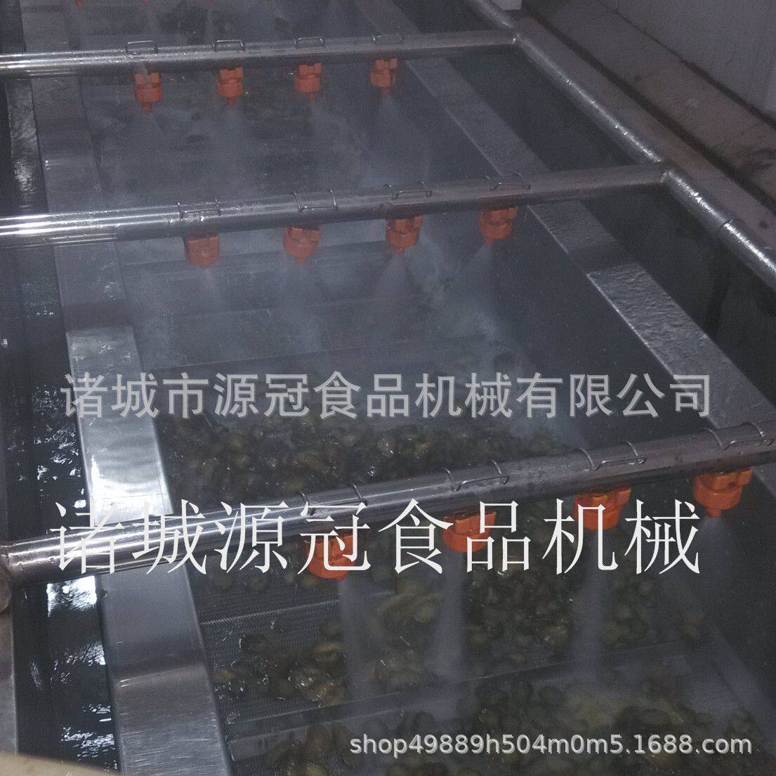 连续式鲜姜气泡清洗机 土豆芋头去泥机 蔬菜洗菜机 源冠制造