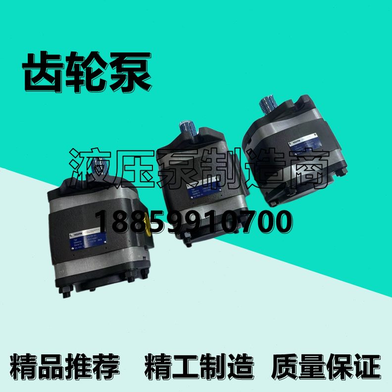 3.5伊特液压/O100H/31 //IP320111/-1512/.V61/VI/齿轮泵7福8T76