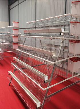 IJB厂家A型人工蛋笼鸡梯禽形镀锌鸡舍家笼雏鸡